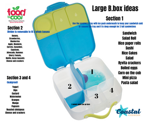 B.Box / Montiico Large bundle