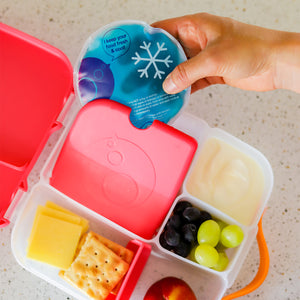 B Box - Lunch Box Large - Strawberry Shake