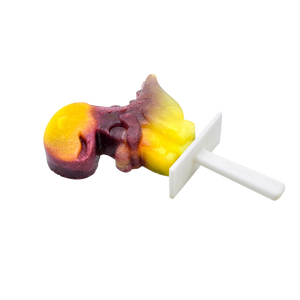 STACKABLE ICE POP MOULDS SET 4 - Dinosaur