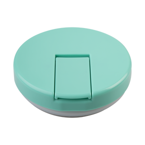 OASIS STAINLESS STEEL DOUBLE WALL INSULATED FOOD FLASK W/ QUICK RELEASE LID - 300ML - Mint