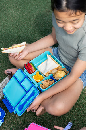 Spencil All in one Lunch box - Lagoon