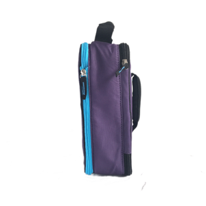 Arctic Zone Expandable Lunch Bag - Logan