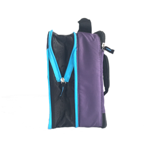 Arctic Zone Expandable Lunch Bag - Logan