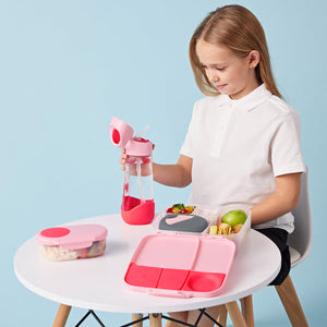 B Box - Lunch Box Large - Flamingo Fizz