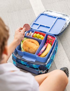 Montiico Feast Large and snack box bundle (NEW LARGER SIZE BAG)