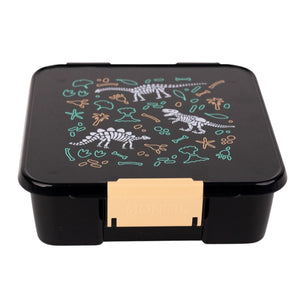 Bento Five Lunch Box - Dinosaur Land