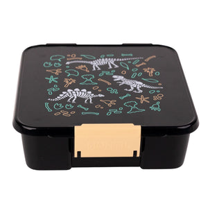 Bento Three Lunch Box - Dinosaur Land