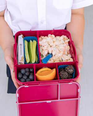 Bento Cups Mixed - Reef