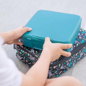 Montiico Feast Box - Pine