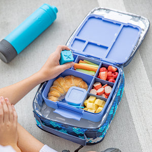 Montiico Feast Box - Splash