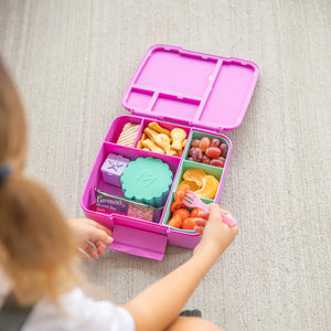 Montiico Feast Box - Fuchsia