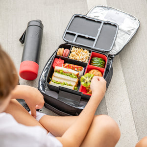 Montiico Feast Box - Midnight