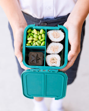 Bento Dip & Sauce Boxes - Midnight