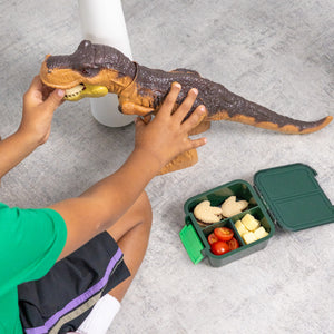 Montiico BENTO 2 - Dinosaur