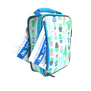 Arctic Zone Expandable Lunch Bag - Cactus