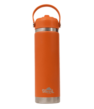 Big Insulated Water Bottle 650ml -Tiger