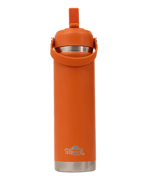 Big Insulated Water Bottle 650ml -Tiger