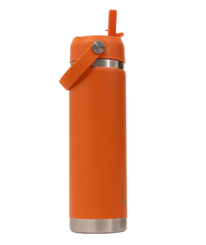 Big Insulated Water Bottle 650ml -Tiger