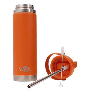 Big Insulated Water Bottle 650ml -Tiger