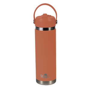 Big Insulated Water Bottle 650ml -Tiger