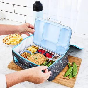 Ecococoon - V2 Stainless Steel Bento 5 - BLUEBERRY