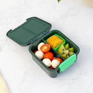 Montiico BENTO 2 - Dinosaur