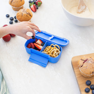 MontiiCo Snack Box - Blueberry