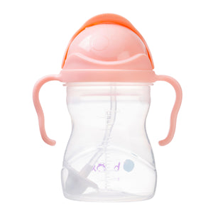 B Box - Sippy cup - TUTTI FRUITI