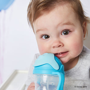 Disney - Elsa sippy cup