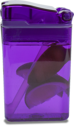 Drink in a Box Small GEN3 - Purple