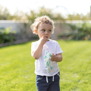 Small Snack Bag 2 pk - Tropic and Dinosaurs
