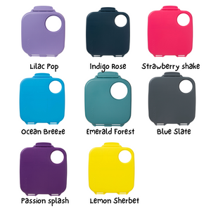 REPLACEMENT LID - Original/Large lunch box