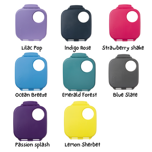 REPLACEMENT LID - MINI lunch box