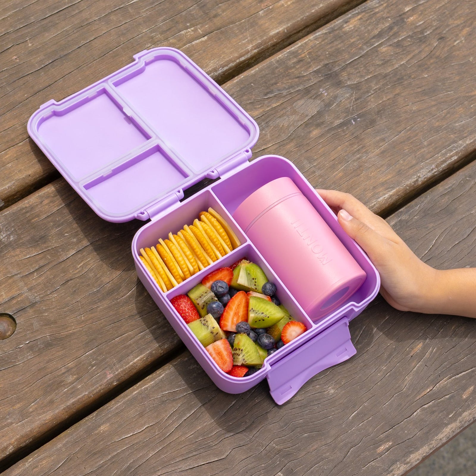 MontiiCo Feast Bite  - Medium Lunch Box