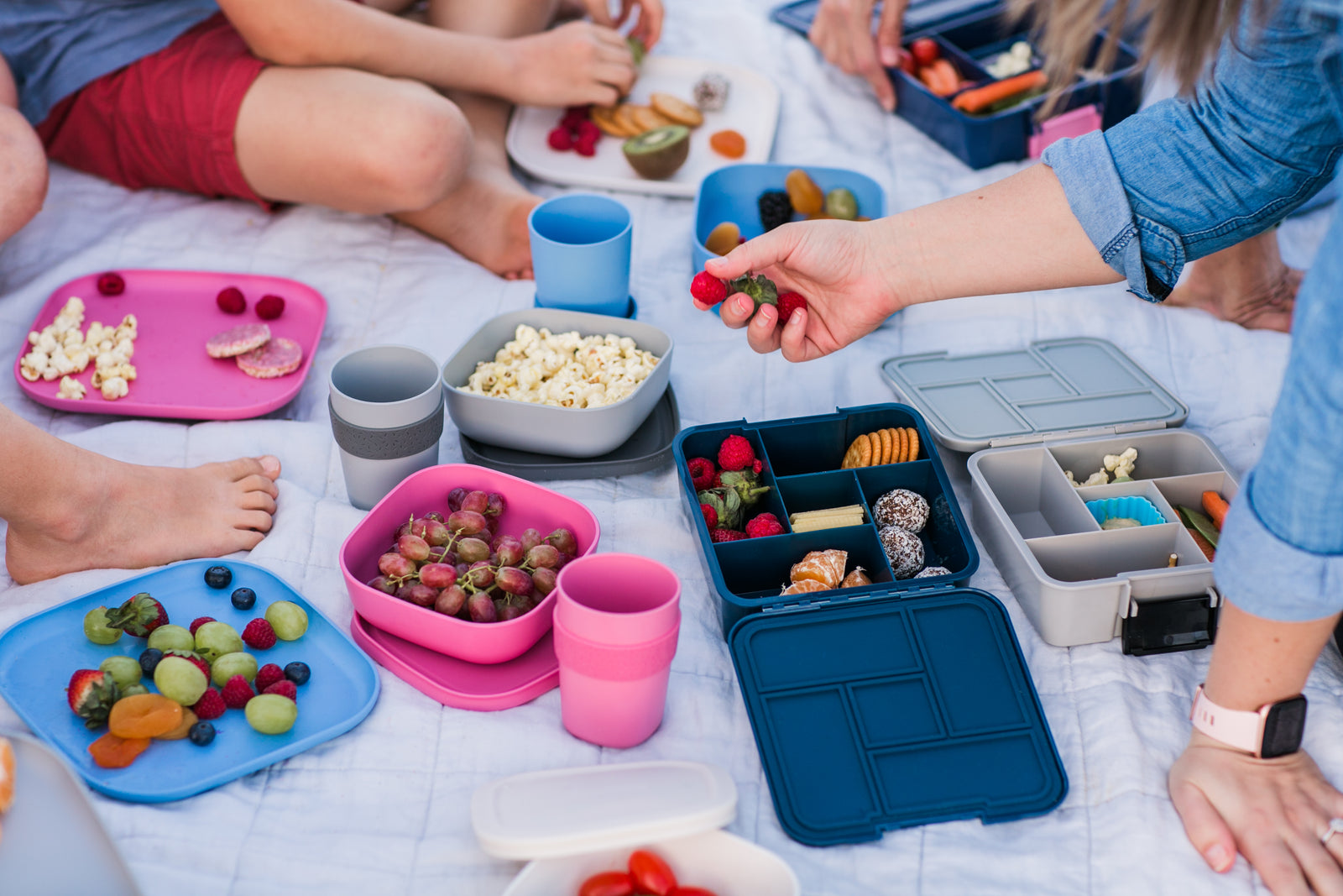 Little Lunch box co