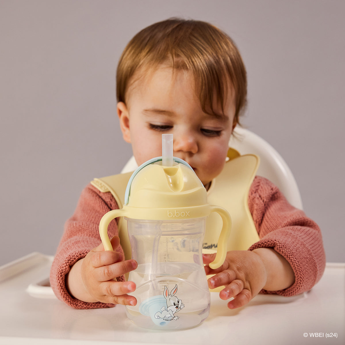 B Box - Sippy cup - Tweety Limited Edition