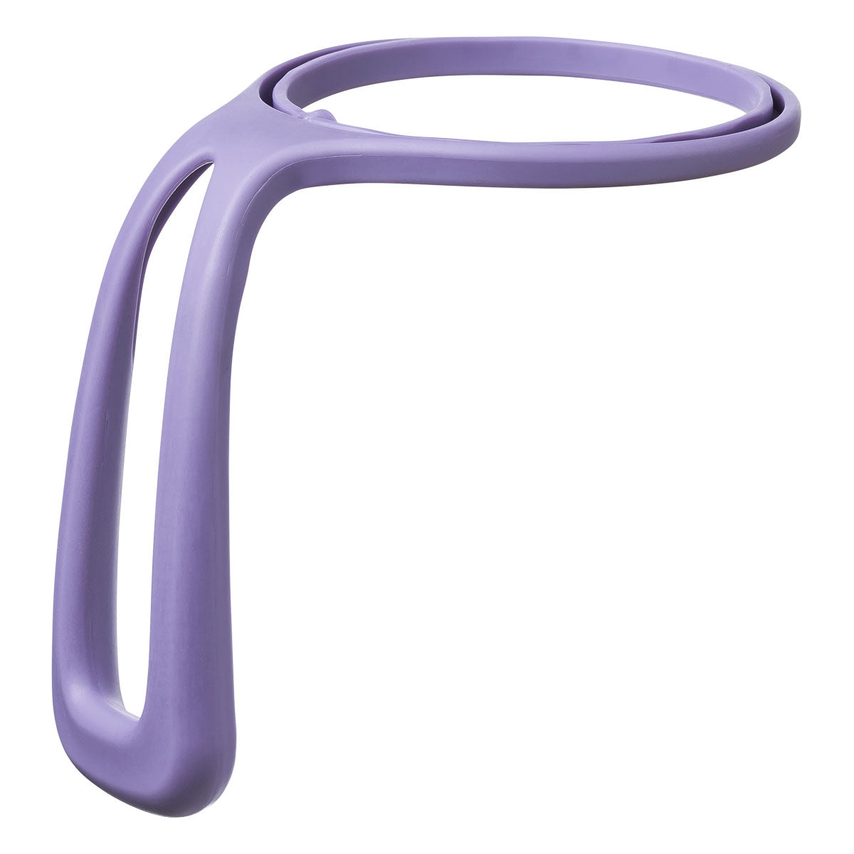 B.box Insulated Flip Top 1 Litre Drink Bottle - Lilac Love