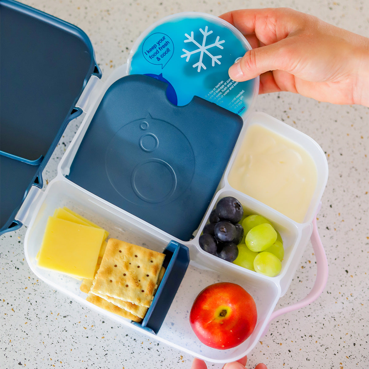 B Box - Lunch Box Large - Indigo Rose