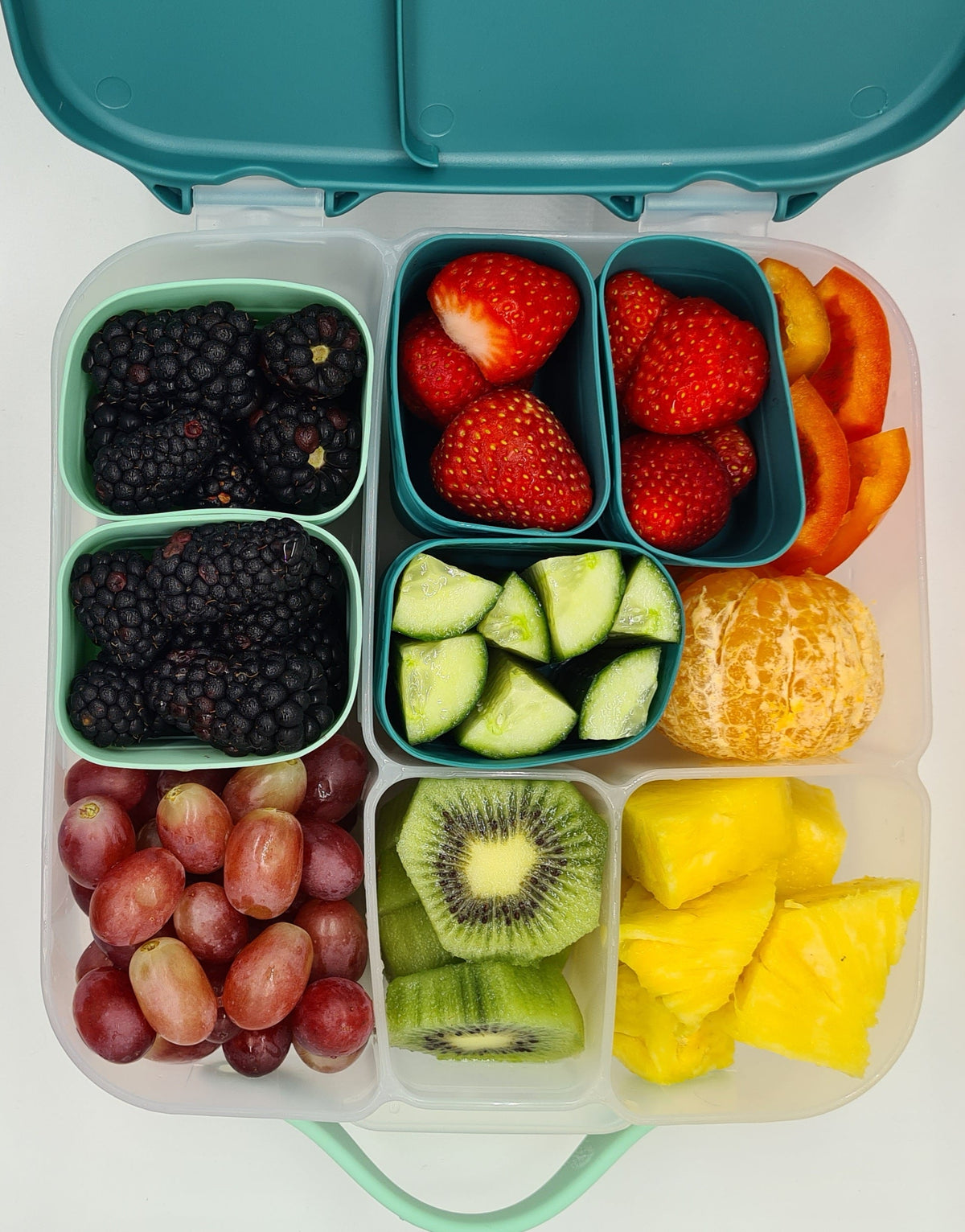 B Box - Lunch Box Large  - Blue Blaze