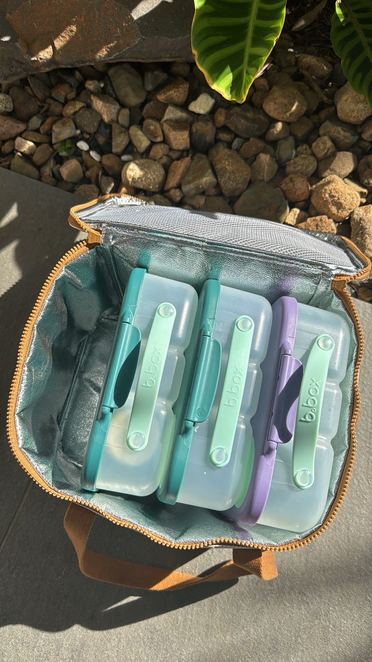 Maxi Insulated Lunch Bag - Daisy