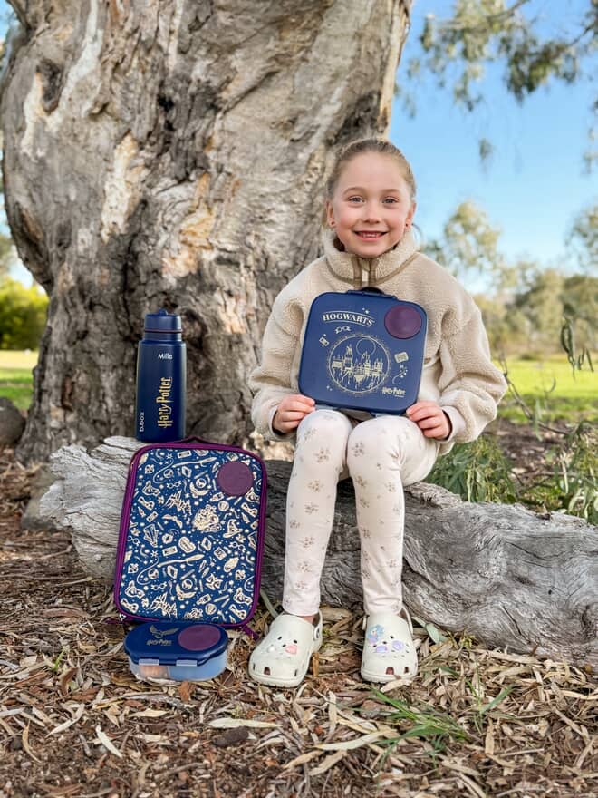 Harry Potter B.box flexi insulated lunch bag