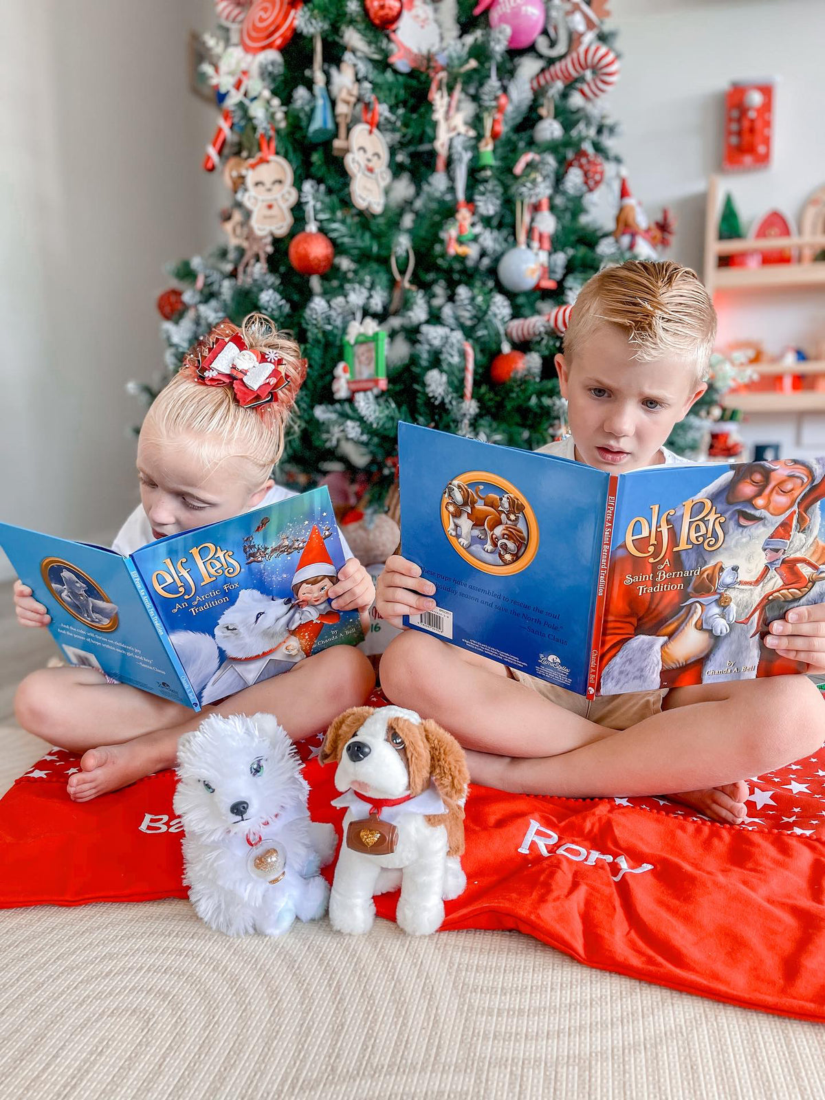 ELF PETS SAINT BERNARD PUP