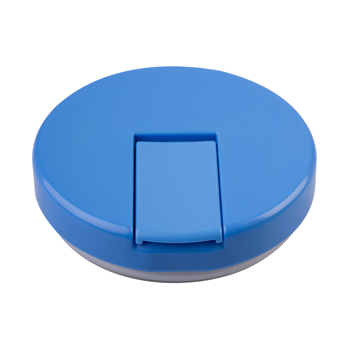 OASIS STAINLESS STEEL DOUBLE WALL INSULATED FOOD FLASK W/ QUICK RELEASE LID - 300ML - Blue