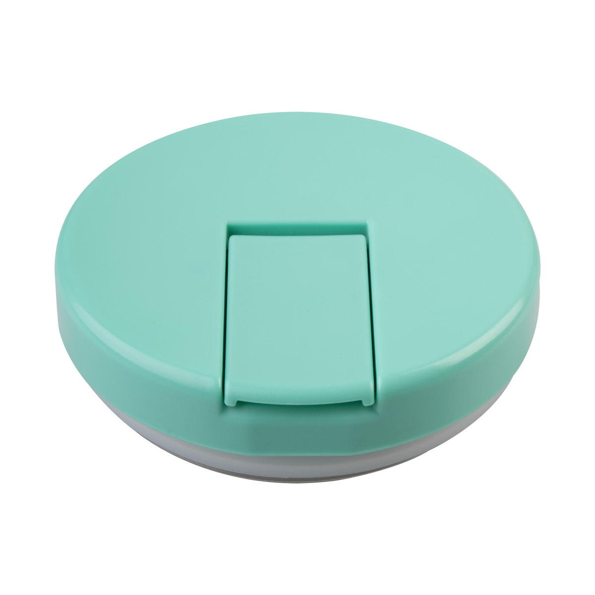 OASIS STAINLESS STEEL DOUBLE WALL INSULATED FOOD FLASK W/ QUICK RELEASE LID - 300ML -  Mint