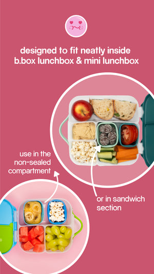 Lunch box Bundle - Berry / Desert