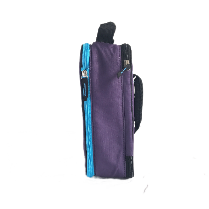 Arctic Zone Expandable Lunch Bag - Logan