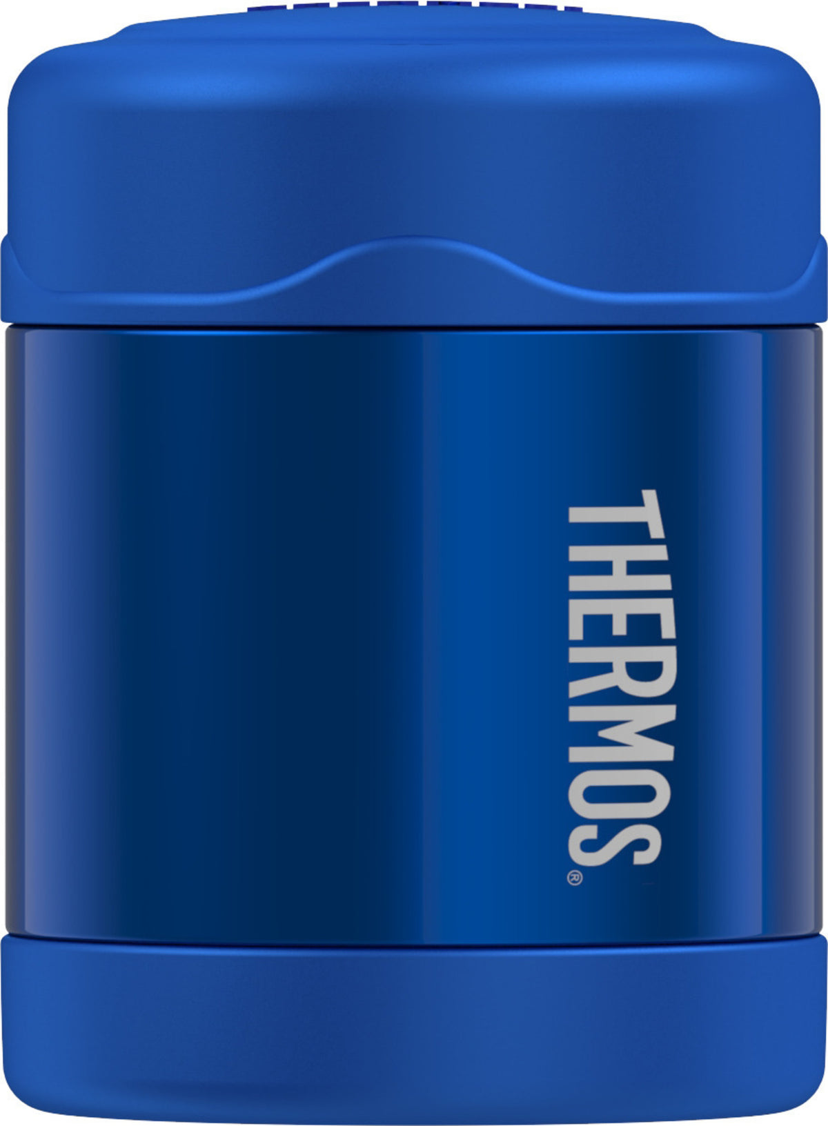 290ml FUNtainer Food Jar - Blue