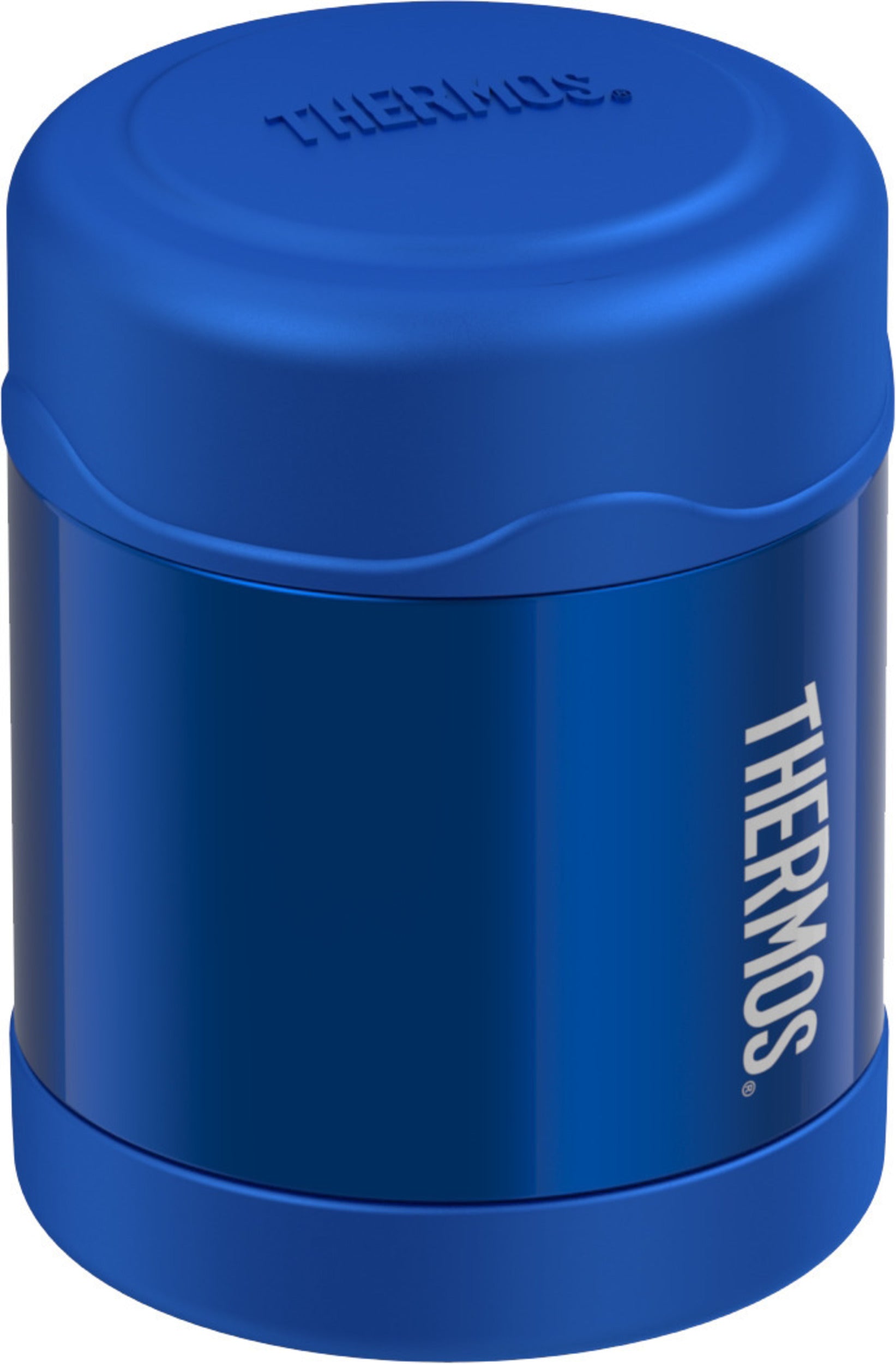 290ml FUNtainer Food Jar - Blue