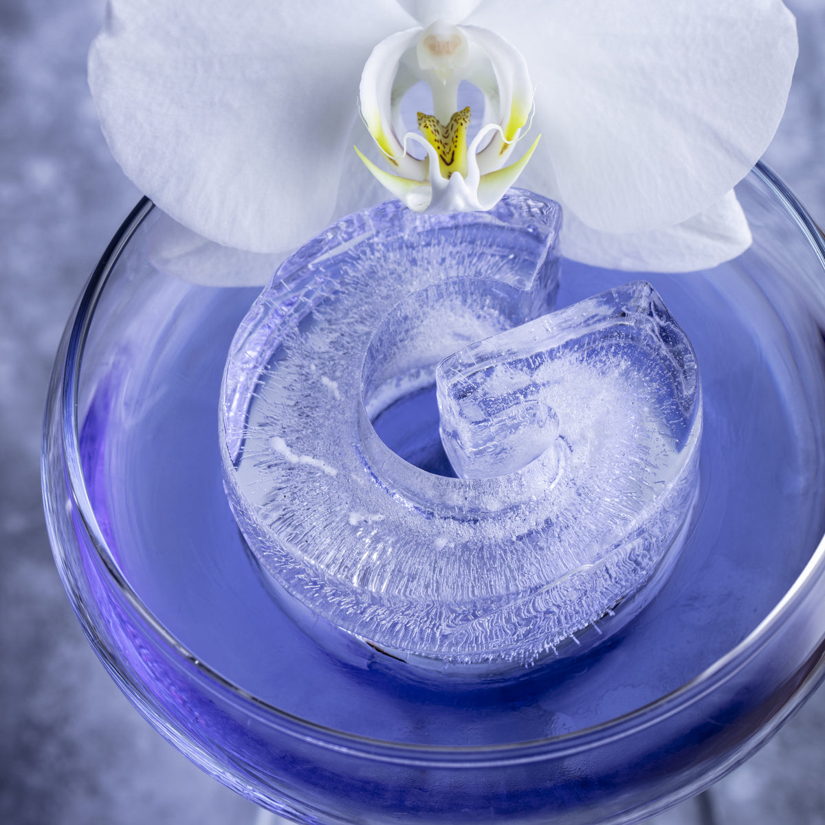 DrinksPlinks - Letter G