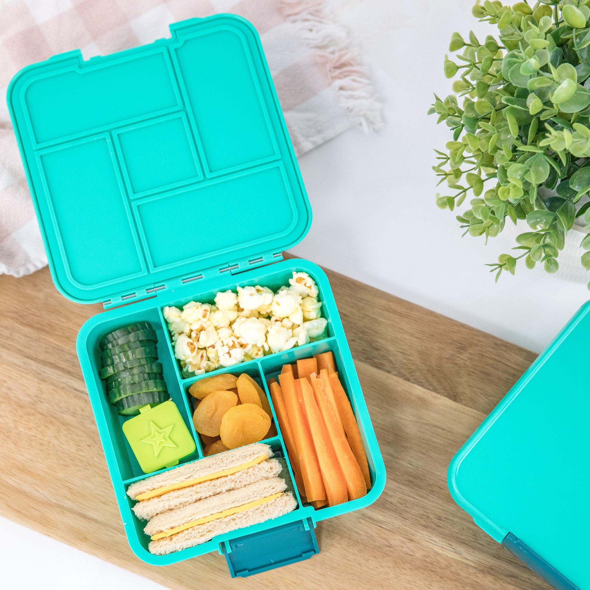 Bento Five Lunch Box - Mojito